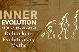 Inner Evolution: Debunking Evolutionary Myths