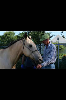12:55: Veterinarios de Nebraska: El maullido del gato | Nat Geo Wild | 3/30 2026