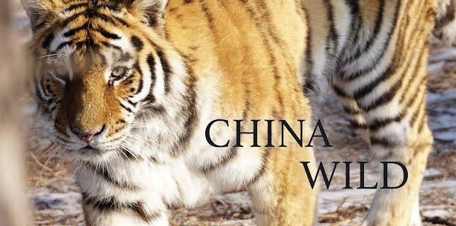 China Wild