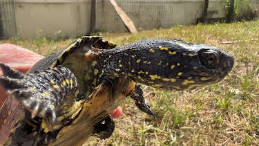 04:30: Woher wissen wir das? | SR Fernsehen | 4/1 2026