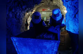 Enid Blyton Series Season 1: The Woods of Adventure: Part 2