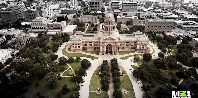 5:00 PM: Lone Star Law (S2 E2) (S2) | Animal Planet | 11/5 2025