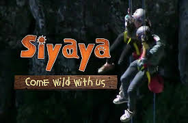 Siyaya – Come Wild With Us: Cliffhanger