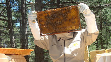 05:25: How Do They Do It? (S11 E9) (S11) | Kanal 9 | 4/24 2026