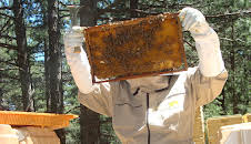 How Do They Do It? (S11 E9)