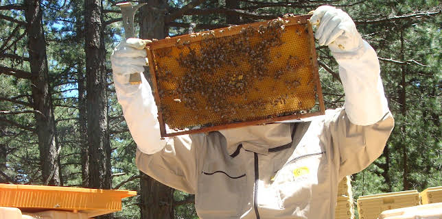 20:10: Hvordan gjør de det? (S11 E9) (S11) | Discovery Science | 11/19 2025