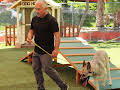 Cesar Millan: Better Human Better Dog - Bessere Menschen, bessere Hunde