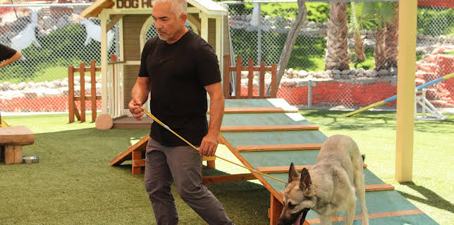 05:45: Cesar Millan: Better Human Better Dog - Bessere Menschen, bessere Hunde | Sixx | 2/22 2026