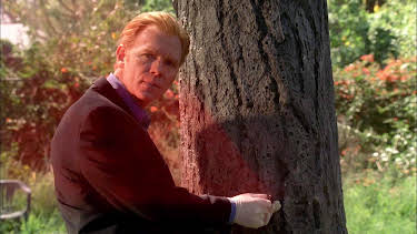 00:35: CSI: Miami | VOX | 11/6 2026