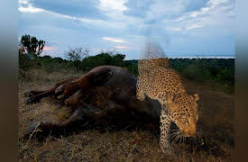 Fundamentals of Photography: Editing--Choosing the Right Image