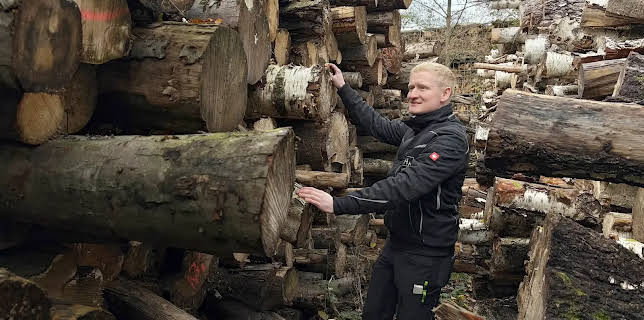 18:15: Die Nordreportage: Vom Baumstamm zur wohligen Wärme | NDR Fernsehen | 2/3 2026