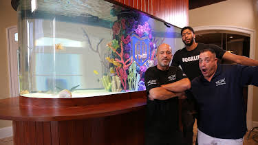09:25: Tanked (S7 E15) (S7) | Animal Planet | 4/15 2026