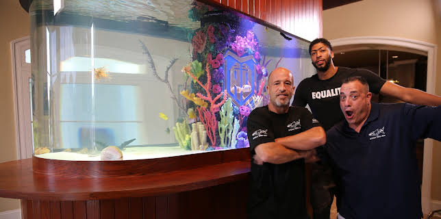 09:25: Akvariedesignerne (S7 E15) (S7) | Animal Planet | 11/17 2025