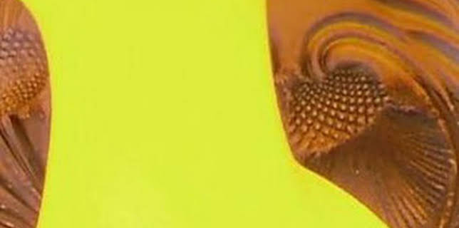 16:45: Así se hace (MAX): Vidrio prensado | Discovery | 12/24 2025