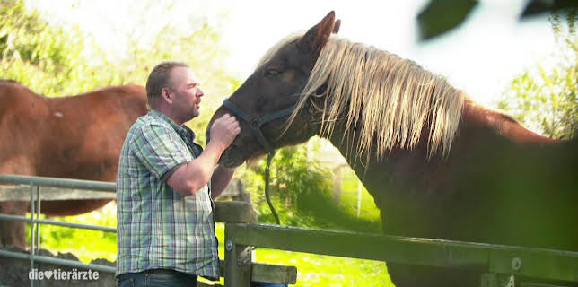 12:15: Die Tierärzte - Retter mit Herz (16/60) | Das Erste | 1/31 2026