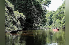 Expedition with Steve Backshall: Unpacked, Season 1: Close Encounters