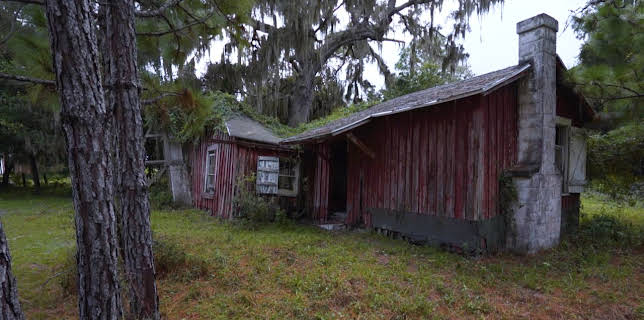 1:00 AM: Abandoned Engineering (S8 E3) (S8) | Yesterday | 2/14 2026