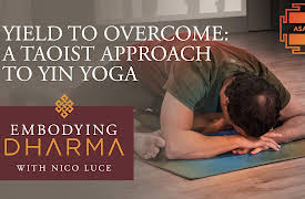 Embodying Dharma: Yield to Overcome: A Taoist Approach to Yin Yoga
