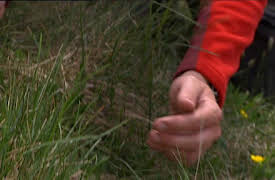 Bonderøven: Episode 11