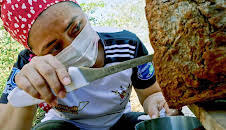 Die Honigfrauen von Yucatán - Las damas de la miel