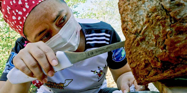 19:30: Die Honigfrauen von Yucatán - Las damas de la miel | Arte | 11/30 2025