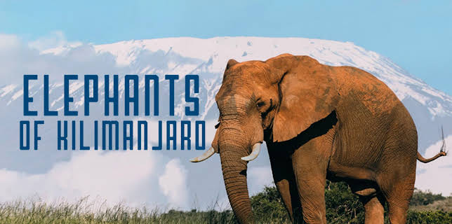 Elephants of Kilimanjaro (2022)
