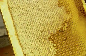 How It's Made: Volume 1: honey, fiber optics, bricks and pipe organs