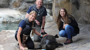 12:10: Crikey! It's the Irwins (S2 E11) (S2) | Animal Planet | 5/31 2026