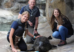 Crikey! It's the Irwins