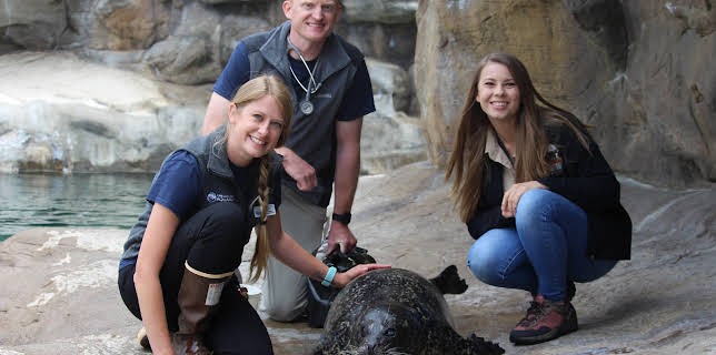 12:10: Crikey! It's the Irwins (S2 E11) (S2) | Animal Planet | 11/16 2025