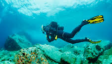 Hvordan gjør de det? (S11 E14)