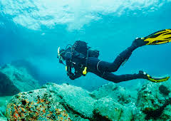 Hvordan gjør de det?