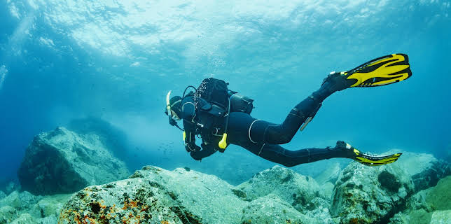 05:25: How Do They Do It? (S11 E14) (S11) | Kanal 9 | 11/22 2025