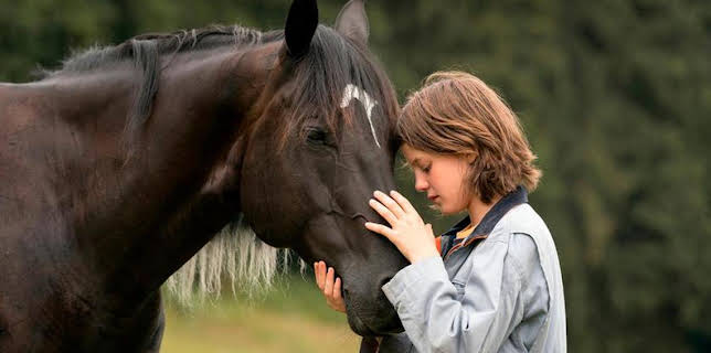 07:00: Filme in der ARD | Das Erste | 11/2 2025