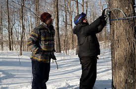 Family Dinner, Season 1: The Palmer Family