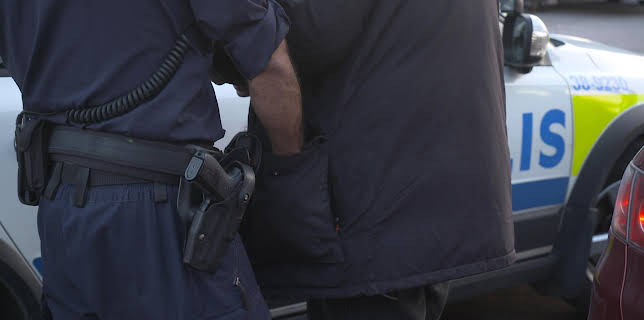 20:50: Södertäljepolisen (S3 E3) (S3) | Kanal 9 | 11/11 2025