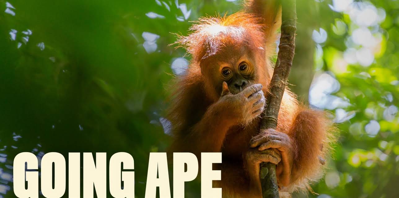 Going Ape