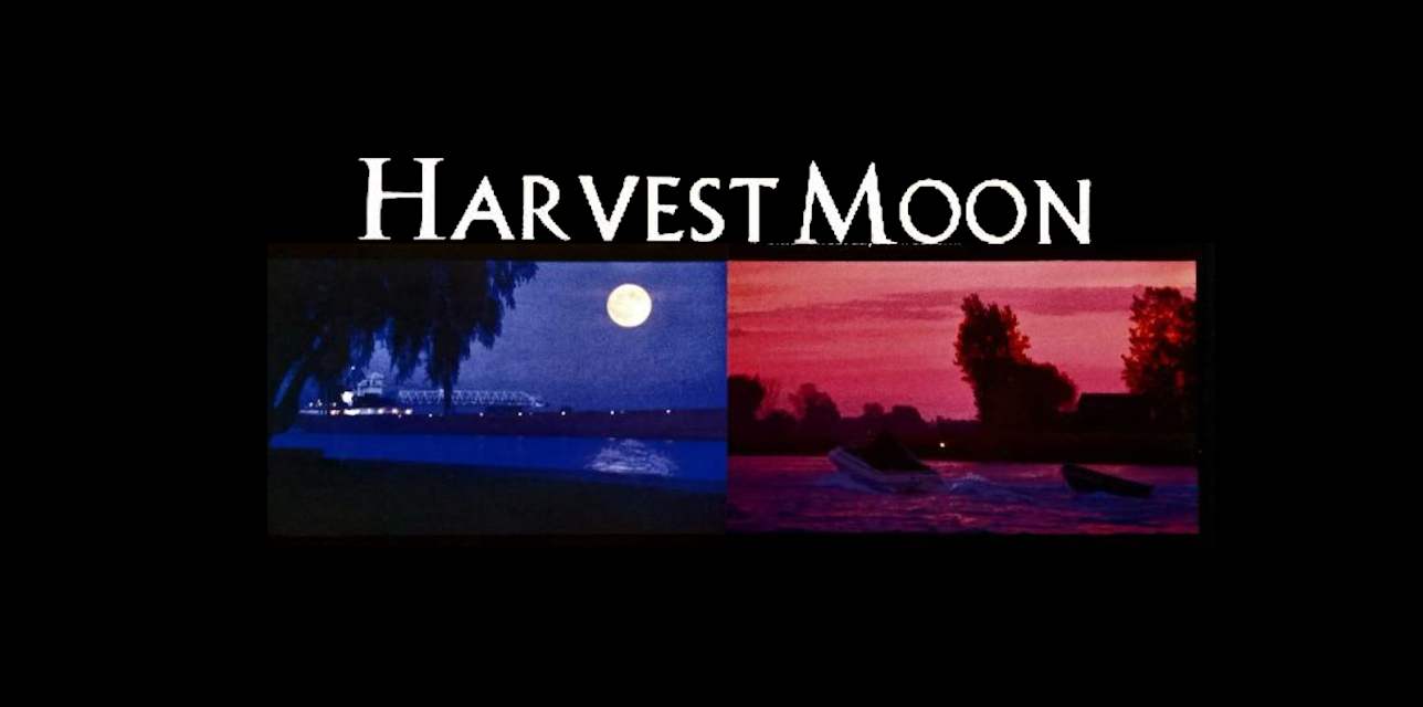 Harvest Moon (2002)
