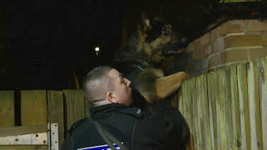 22:00: Dog Detectives (S1 E2) (S1) | ID | 5/6 2026