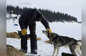 Toughest Race on Earth: Iditarod: The King and the Pauper