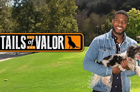 Tails of Valor S1: Surf's Pup!