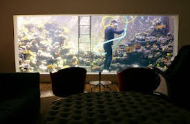 Unike interiør: Chicago Cubs-hula, akvariehuset, kjærlighetsbåten