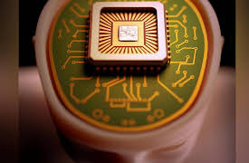 Mind-Body Philosophy: Computational Approaches to the Mind