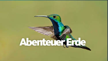 18:00: Erlebnis Erde: Wilder Rhein - Von den Burgen in die Berge (2/2) | WDR Fernsehen | 8/16 2026