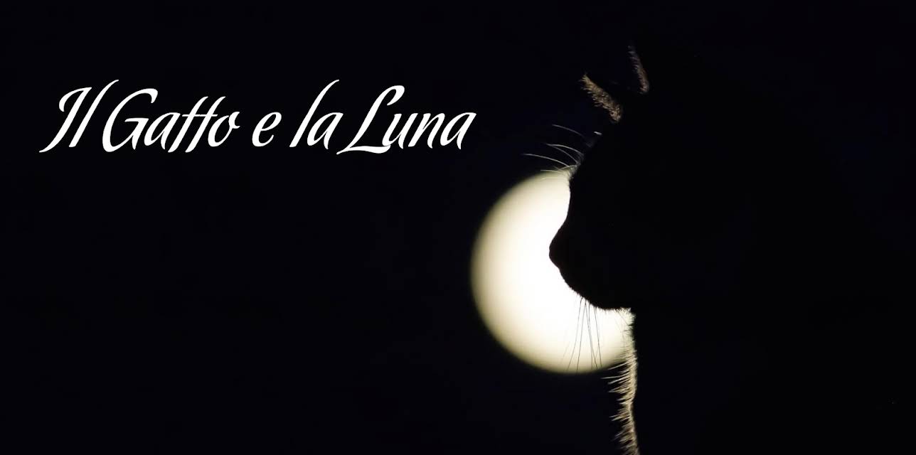 The cat and the moon (2026)