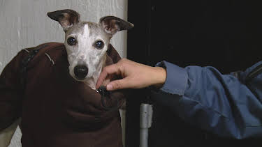 01:00: Tunnelbanan (S9 E5) (S9) | Kanal 9 | 9/4 2025