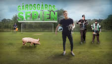 Gärdsgårdsserien (S1 E1)