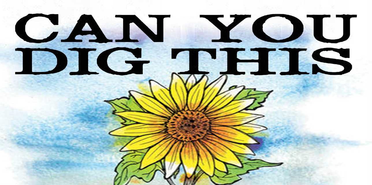 Can You Dig This (2015)