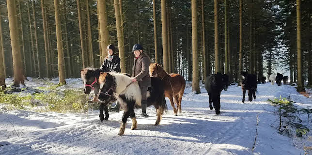 14:00: die nordstory - Heiße Tage im Schnee | NDR Fernsehen | 1/19 2026