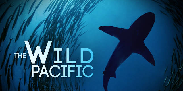 The Wild Pacific (2016)